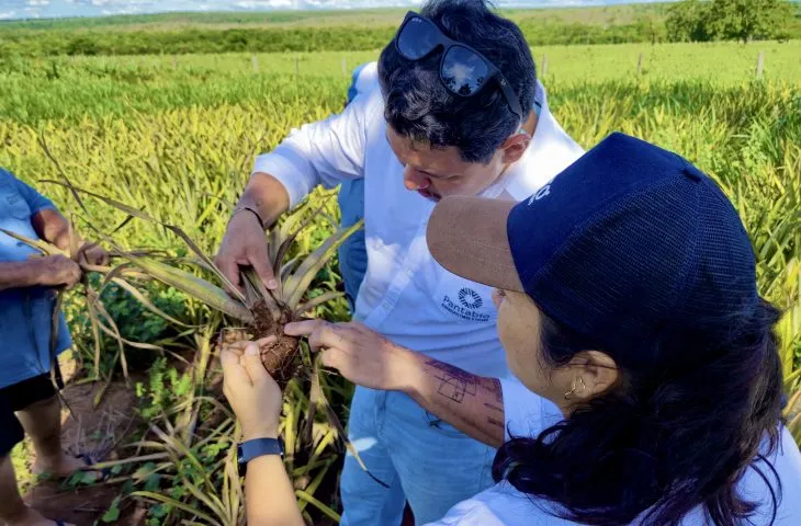 Folha MS - Notícias de Corumbá, Ladário e todo Estado de Mato Grosso do Sul 18 bio pantanal