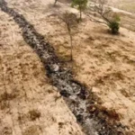 MPMS apura desmatamento ilegal em Corumbá após incêndios devastarem 86 hectares no Pantanal