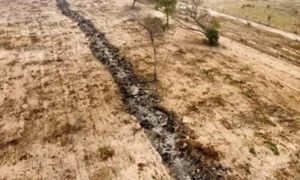Leia mais sobre o artigo MPMS apura desmatamento ilegal em Corumbá após incêndios devastarem 86 hectares no Pantanal