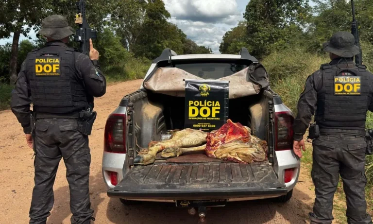 furto e abate de gado em Corumbá