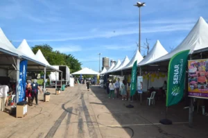 Leia mais sobre o artigo Campo Grande: Drive-Thru chega à 15ª edição como referência em conscientização ambiental e sustentabilidade