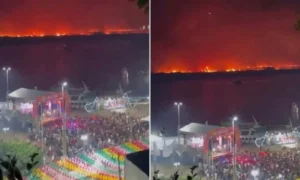Leia mais sobre o artigo Justiça bloqueia R$ 40,7 milhões de família acusada por incêndios no Pantanal
