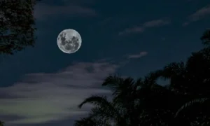 Leia mais sobre o artigo Noite mais longa do ano marca início oficial do inverno no Brasil
