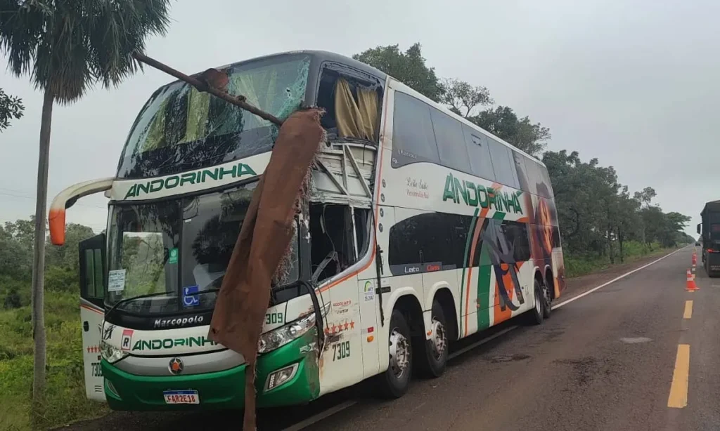 Corumbá decreta luto oficial após acidente com vítimas fatais na BR-262 1 luto oficial