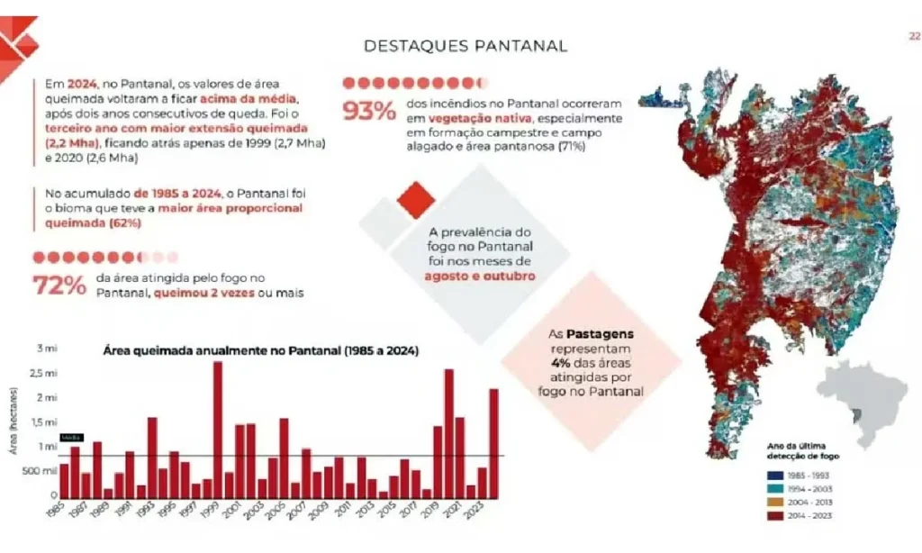 mapbiomas Pantanal