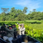 Pantanal de MS se destaca como destino internacional para observação de aves
