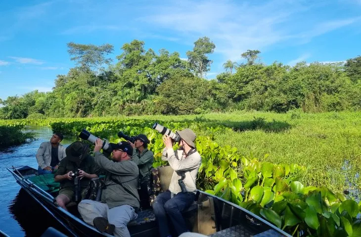 observação de aves no pantanal