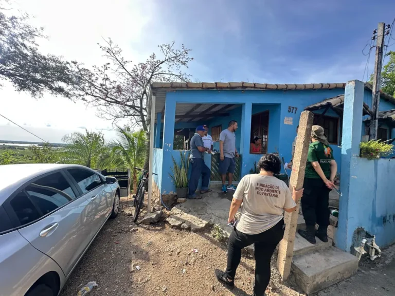 presença de onças próximo ao mirante da capivara