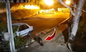 Leia mais sobre o artigo Onças-pintadas voltam a ser vistas na área urbana de Corumbá |vídeo