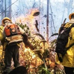 Operação Pantanal 2025: Ibama reforça medidas contra incêndios no Pantanal antes do período crítico