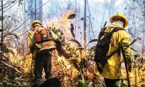 Leia mais sobre o artigo Operação Pantanal 2025: Ibama reforça medidas contra incêndios no Pantanal antes do período crítico