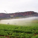 Pantanal Tech MS se consolida como vitrine do agro sustentável, fomento tecnológico e economia criativa