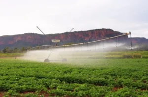 Leia mais sobre o artigo Pantanal Tech MS se consolida como vitrine do agro sustentável, fomento tecnológico e economia criativa