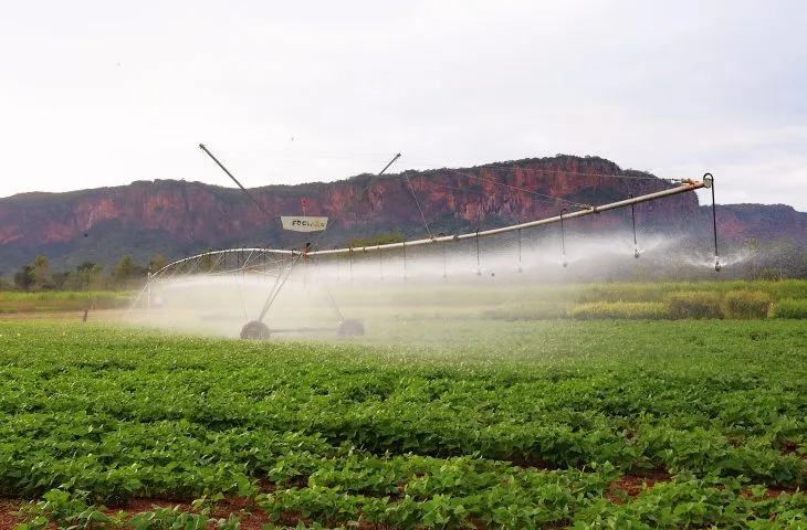 No momento, você está visualizando Pantanal Tech MS se consolida como vitrine do agro sustentável, fomento tecnológico e economia criativa