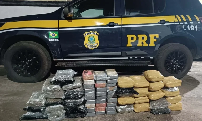 PRF apreende cocaína e skunk escondidos em caminhão na BR-262