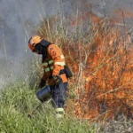 Governo define áreas estratégicas no Pantanal para aplicação de queima prescrita