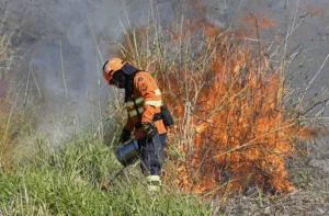 Leia mais sobre o artigo Governo define áreas estratégicas no Pantanal para aplicação de queima prescrita
