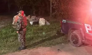 Leia mais sobre o artigo Força-tarefa define novas ações contra presença de onças-pintadas em Corumbá