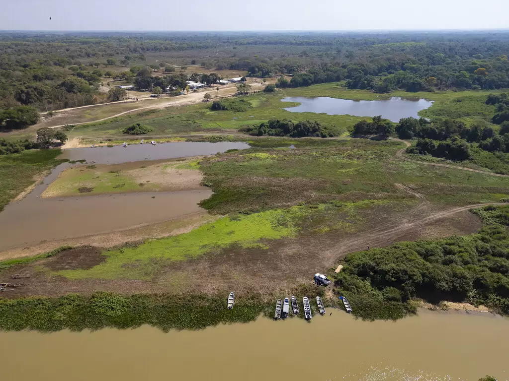 Poluição atinge rios do Pantanal e compromete saúde de comunidades ribeirinhas 4 30qz0mok2j28k