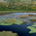 Parque do Pantanal do Rio Negro avança como referência nacional na geração de créditos ambientais