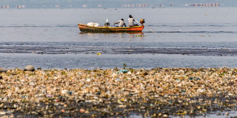 Período de defeso da piracema proíbe pesca comercial até janeiro de 2026