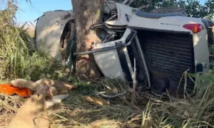 Leia mais sobre o artigo Três pessoas morrem após caminhonete bater em árvore em estrada vicinal de Miranda