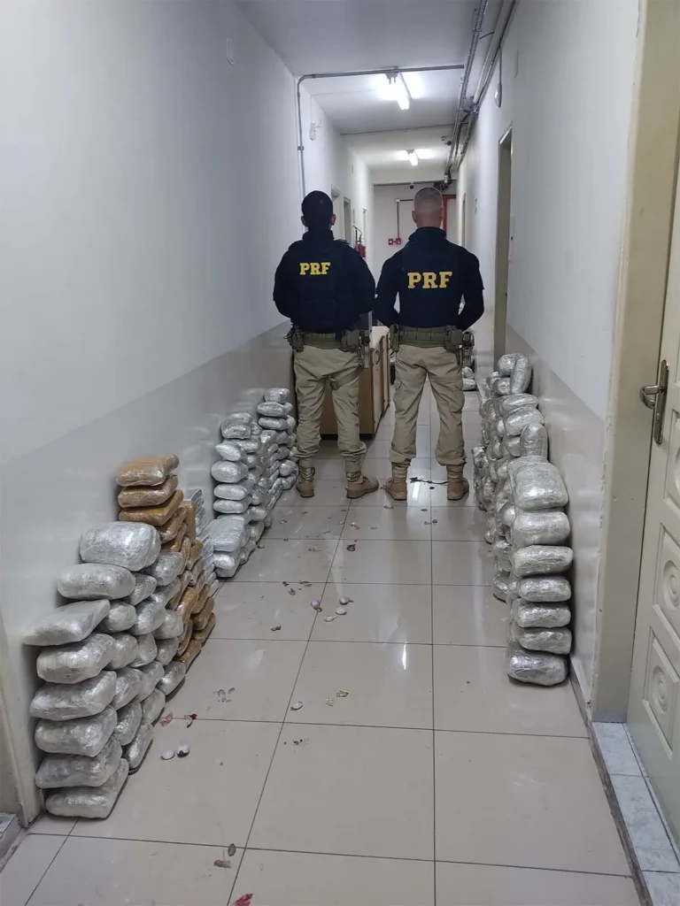 Casal é preso com mais de 220 kg de drogas em ônibus que seguia para São Paulo 2 apreensao prf drogas em ônibus