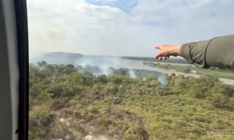 Pantanal é o bioma mais afetado pelo aquecimento no Brasil, com alta média de 1,9°C em 40 anos. Dados do MapBiomas revelam impactos alarmantes.