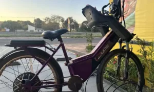 Leia mais sobre o artigo Criança de 2 anos morre após cair de bicicleta elétrica em MS