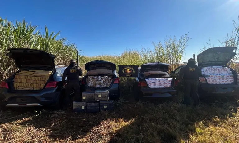 DOF apreende comboio de veículos