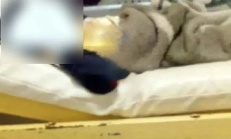 menino de 6 anos agredido em escola