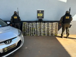 Leia mais sobre o artigo Homem é preso com mais de 330 kg de maconha em carro na MS-295