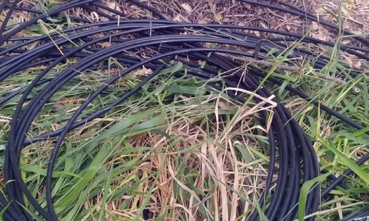 Leia mais sobre o artigo PM impede furto de cabos e recupera fios elétricos em área próxima ao CAIC, em Corumbá