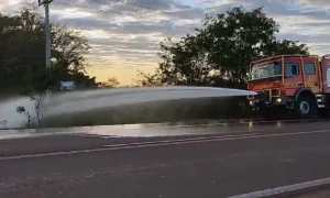 Leia mais sobre o artigo Bombeiros registram quatro focos de incêndio em vegetação nas últimas 24 horas