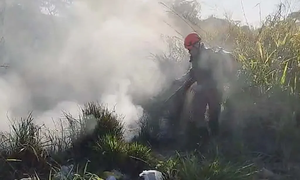Bombeiros registram quatro focos de incêndio em vegetação nas últimas 24 horas 2 incendios vegetacao2 incêndio em vegetação
