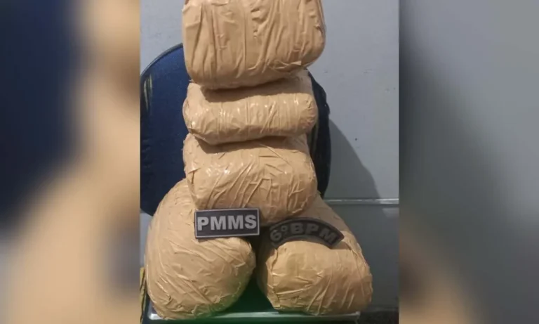 Polícia Militar apreende tabletes de maconha