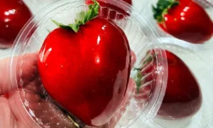Leia mais sobre o artigo Morango do amor viraliza e movimenta confeitaria nas redes sociais