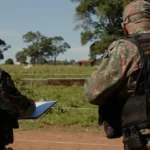Operação Prolepse: prevenção a incêndios florestais reduz casos em áreas críticas no Estado