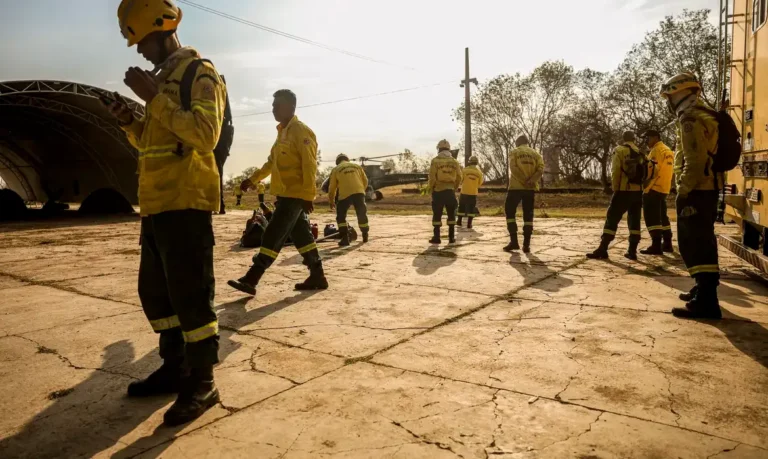 incêndios florestais
