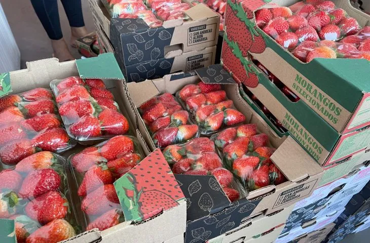 No momento, você está visualizando Preço do morango volta a cair, enquanto cenoura tem alta de preço na Ceasa de MS