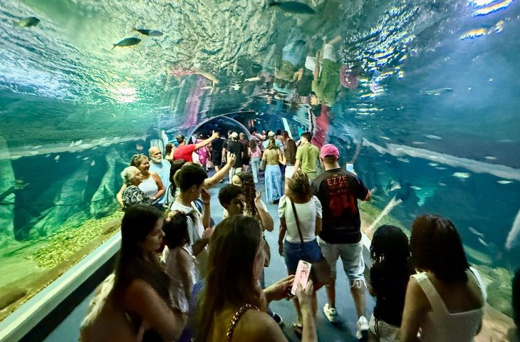 Bioparque Pantanal bate recorde de visitantes em julho e reforça Campo Grande como novo polo turístico nacional