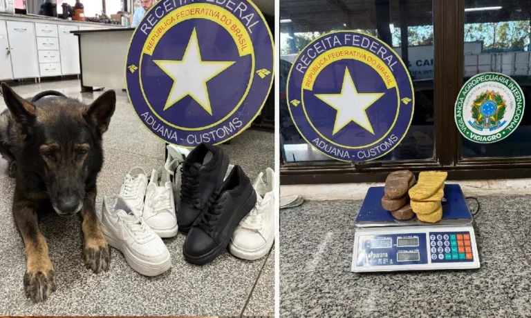 Receita Federal, MAPA e PMMS apreendem droga e 2 toneladas de produtos na fronteira em Corumbá