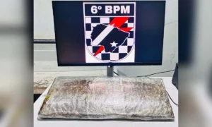 Leia mais sobre o artigo Polícia Militar prende passageiro com droga escondida em mala com fundo falso na BR-262