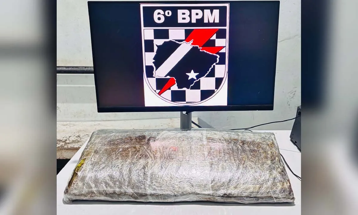 Polícia Militar prende homem com droga escondida em ônibus na BR-262 em Corumbá.