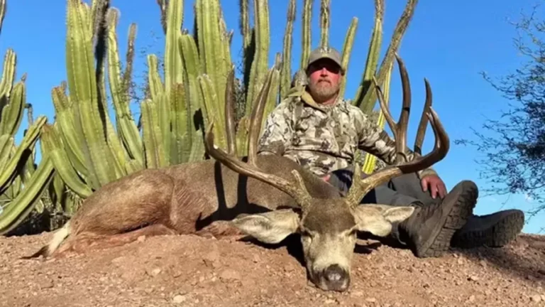 Empresário americano dos EUA morre durante safári na África após ser atingido por búfalo-do-cabo. Animal é um dos mais perigosos do continente. Saiba mais.