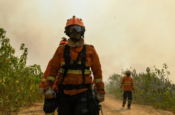 Mato Grosso do Sul registra queda nos incêndios florestais em 2025, mas mantém bombeiros em alerta para proteger biomas como Pantanal e Cerrado