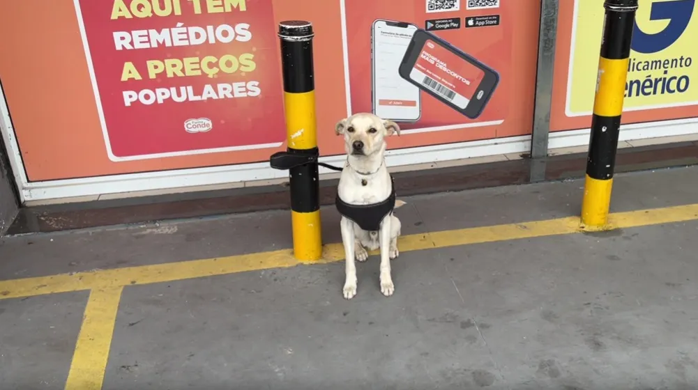 Homem negro morre baleado dentro de supermercado após discussão por cachorro 2 baleado