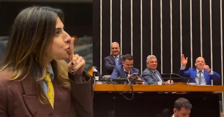 Camila Jara ironiza silêncio de bolsonaristas durante motim na Câmara que pede impeachment de Moraes