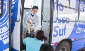 Leia mais sobre o artigo Caravana da Castração encerra primeira etapa com mais de 5 mil procedimentos