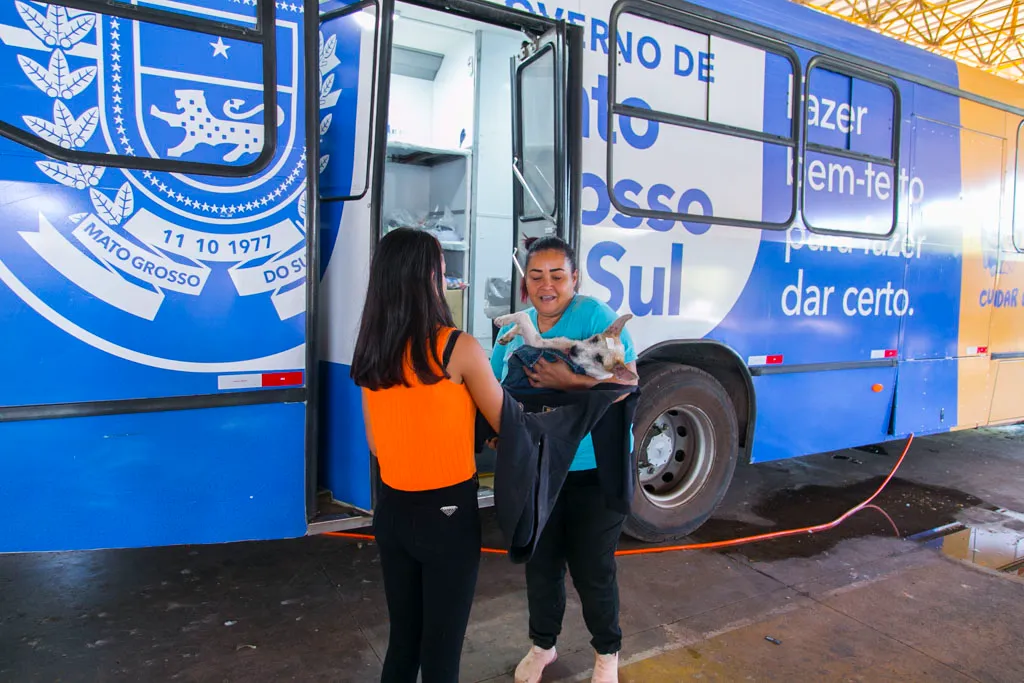 caravana castracao castração